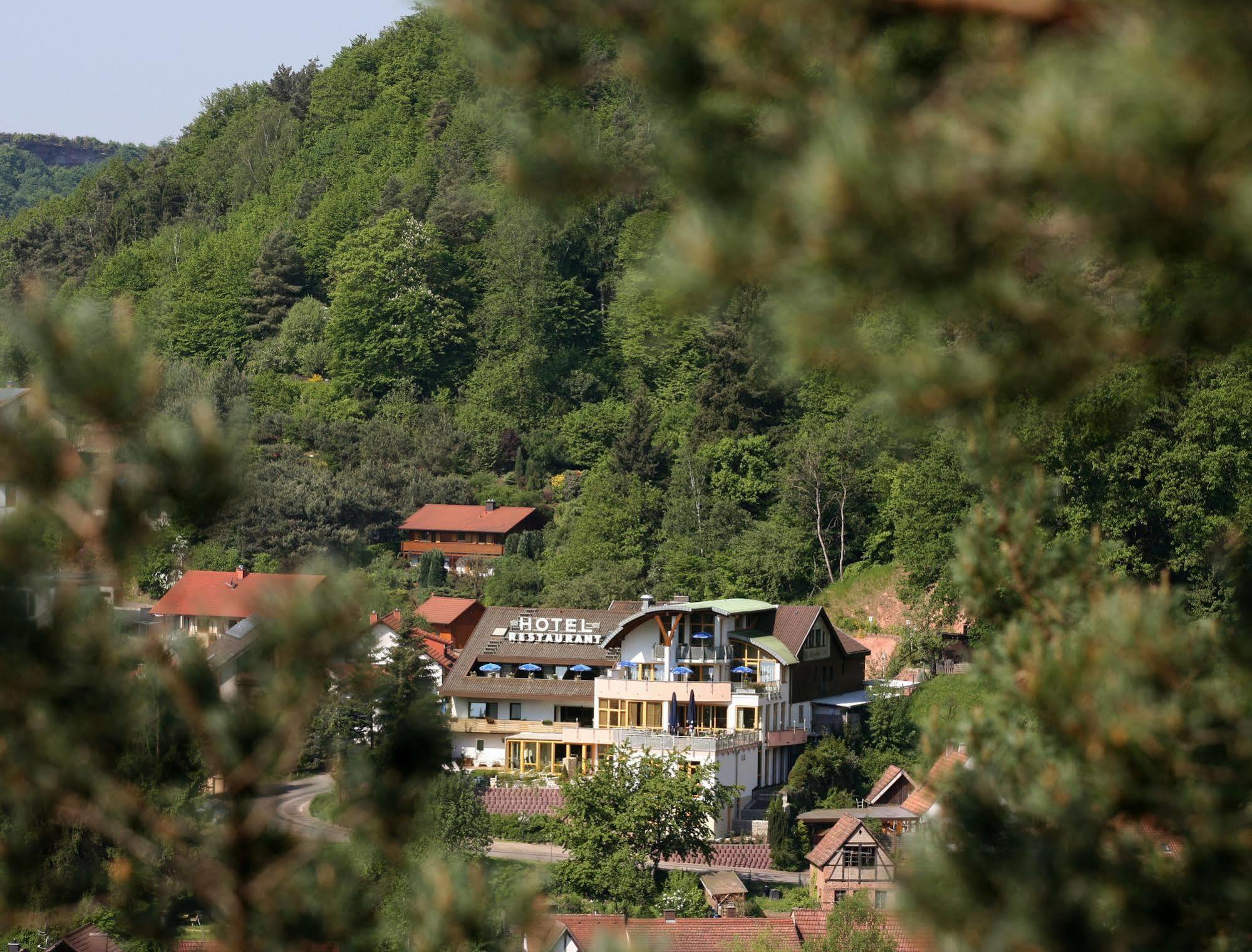 Hotel Am Hirschhorn - Wellness - Spa - And More 윌가츠위젠 외부 사진